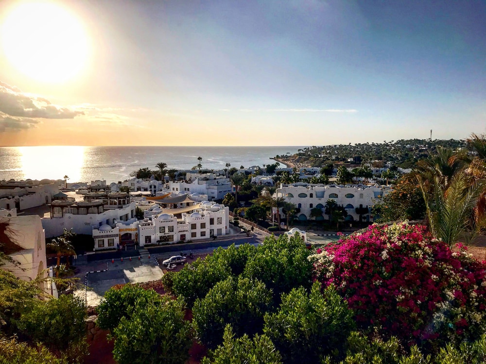 Foto - Furnished Private Apartment Domina Coral Bay Harem