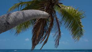 On the beach, scuba diving