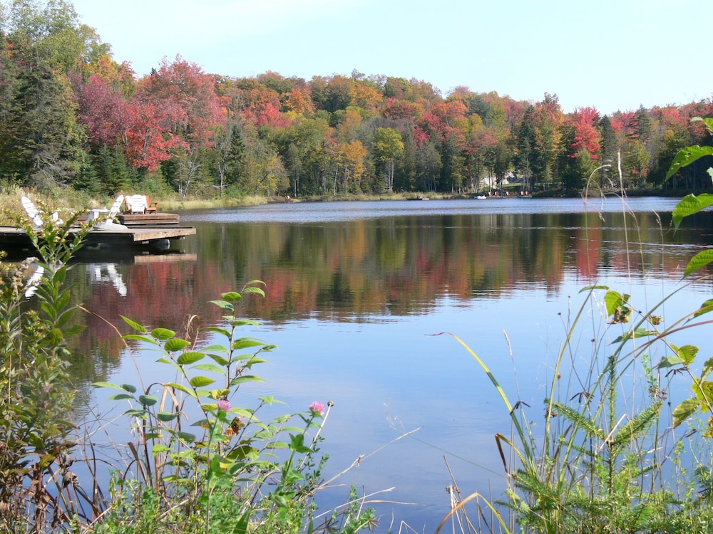 Escape to Blueberry Lake: A Gem in the Heart of Nature