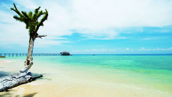 Private beach, sun-loungers, beach umbrellas, beach towels