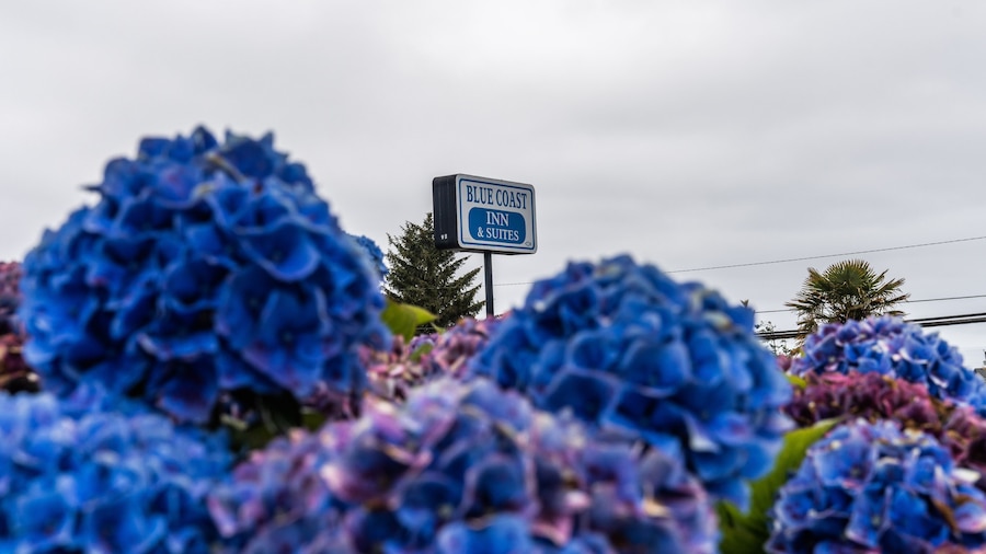 Blue Coast Inn and Suites