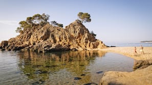 Nära stranden