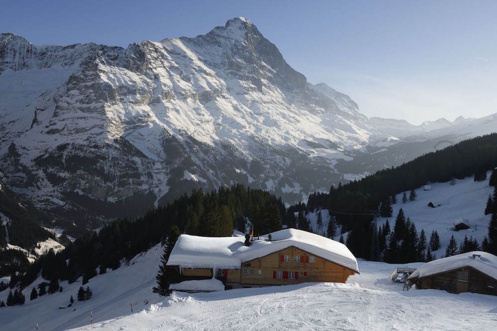 Grindelwald Швейцария горнолыжка