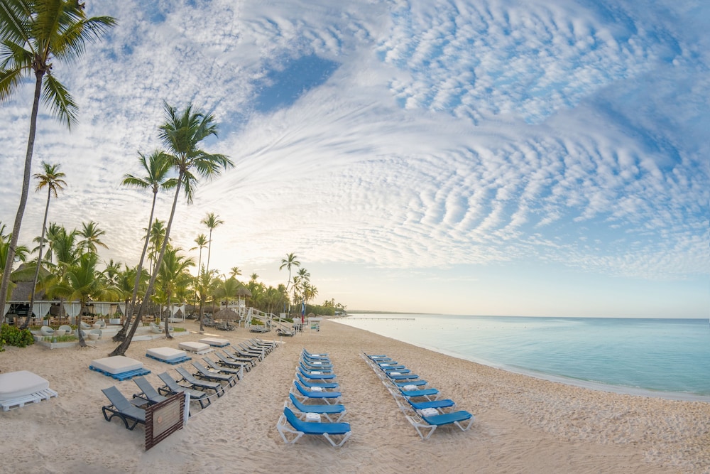 Catalonia La Romana All Inclusive, Punta Cana 127 Room Prices & Reviews Travelocity Catalonia La Romana All Inclusive, Punta Cana 127 Room Prices & Reviews Travelocity