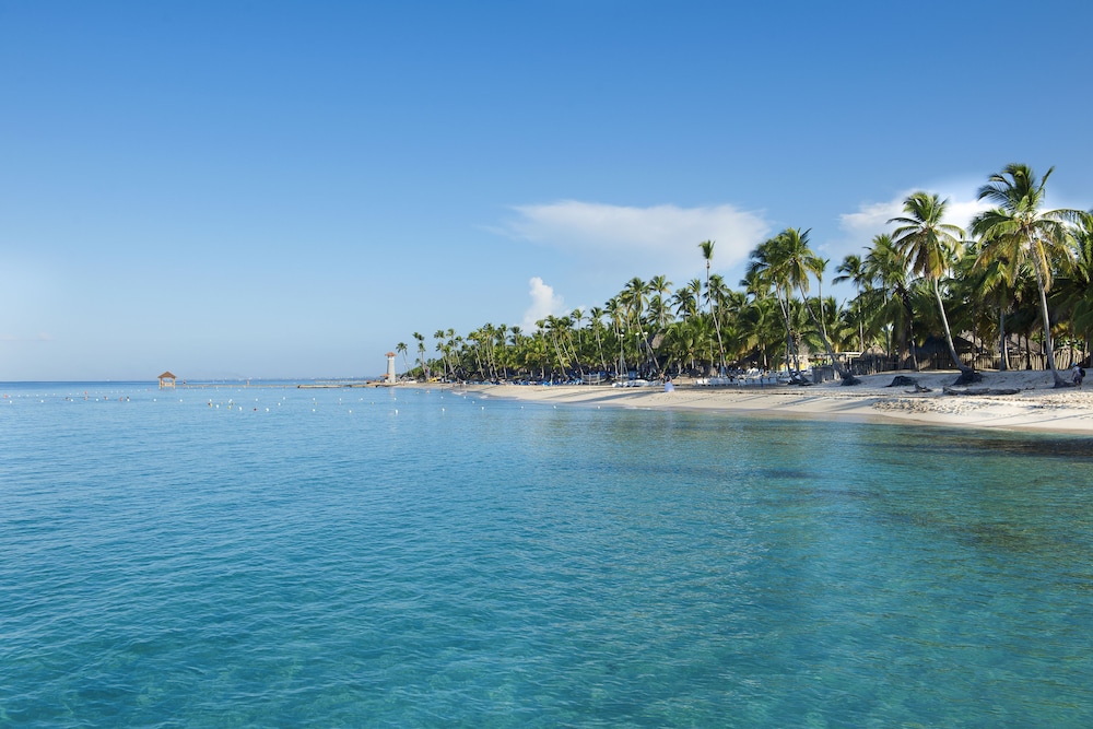 Catalonia La Romana All Inclusive, Punta Cana 127 Room Prices & Reviews Travelocity Catalonia La Romana All Inclusive, Punta Cana 127 Room Prices & Reviews Travelocity