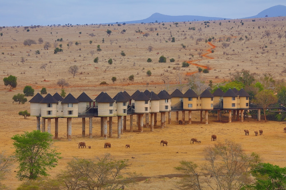 sarova salt lick game Sarova salt lick game