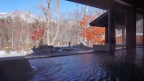Outdoor spa bath