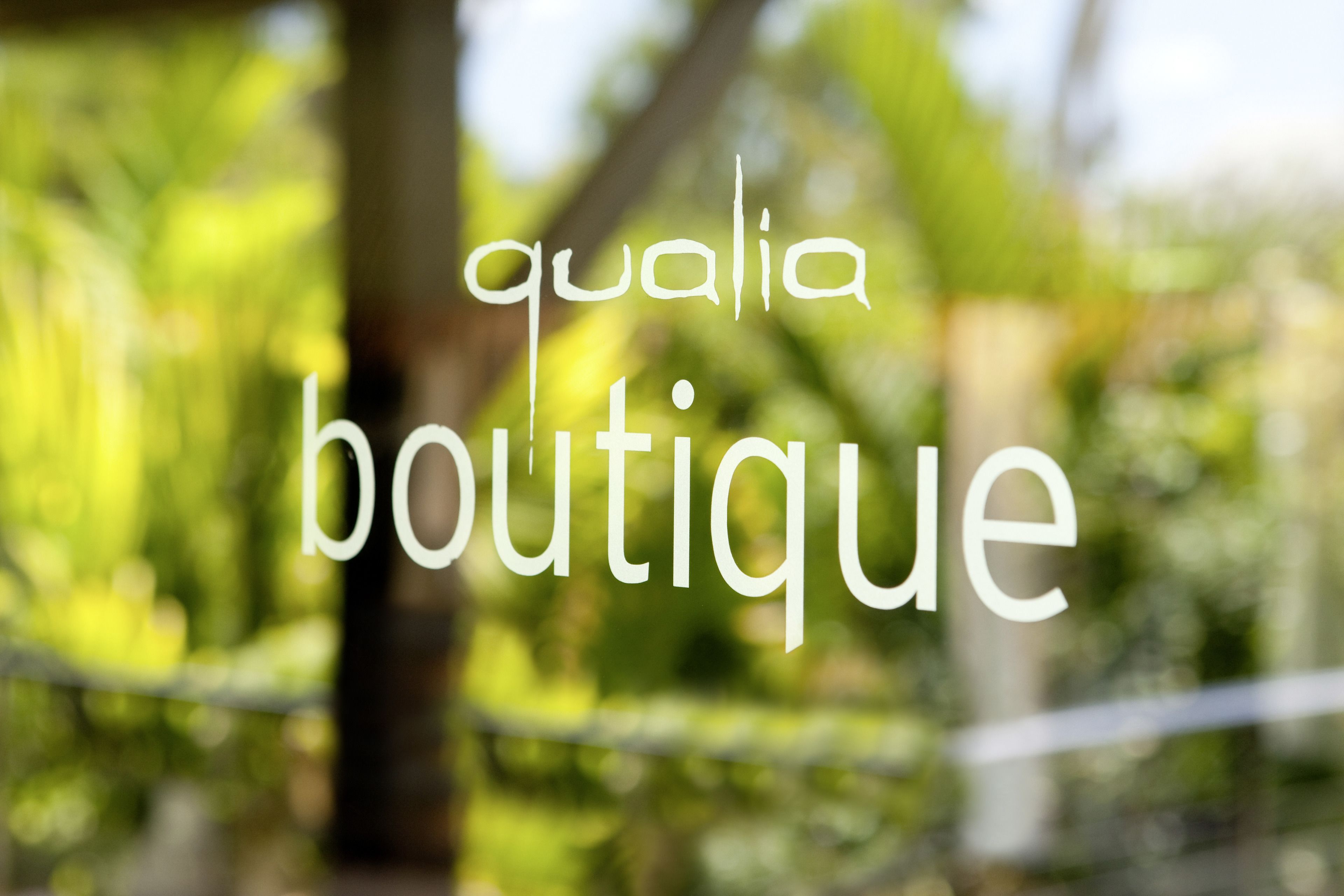 qualia