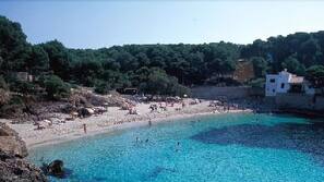 Sulla spiaggia, pallavolo