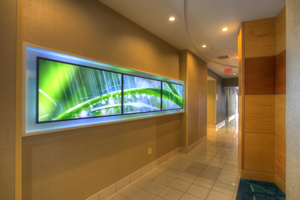 Springhill Suites by Marriott Tampa Brandon