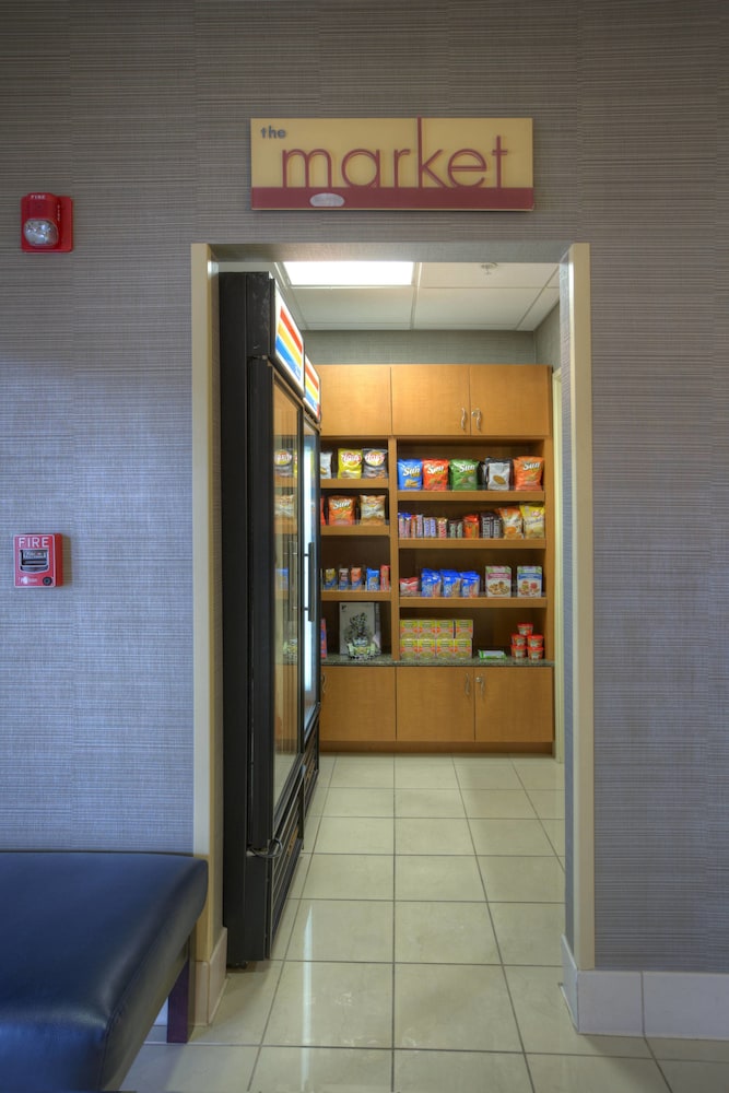 Springhill Suites by Marriott Tampa Brandon