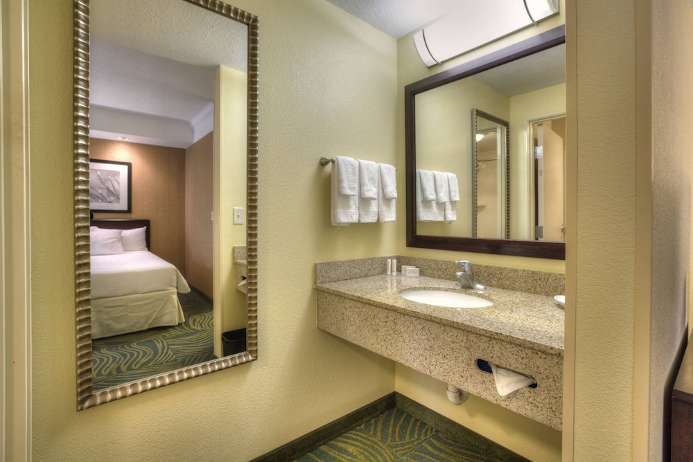 Springhill Suites by Marriott Tampa Brandon