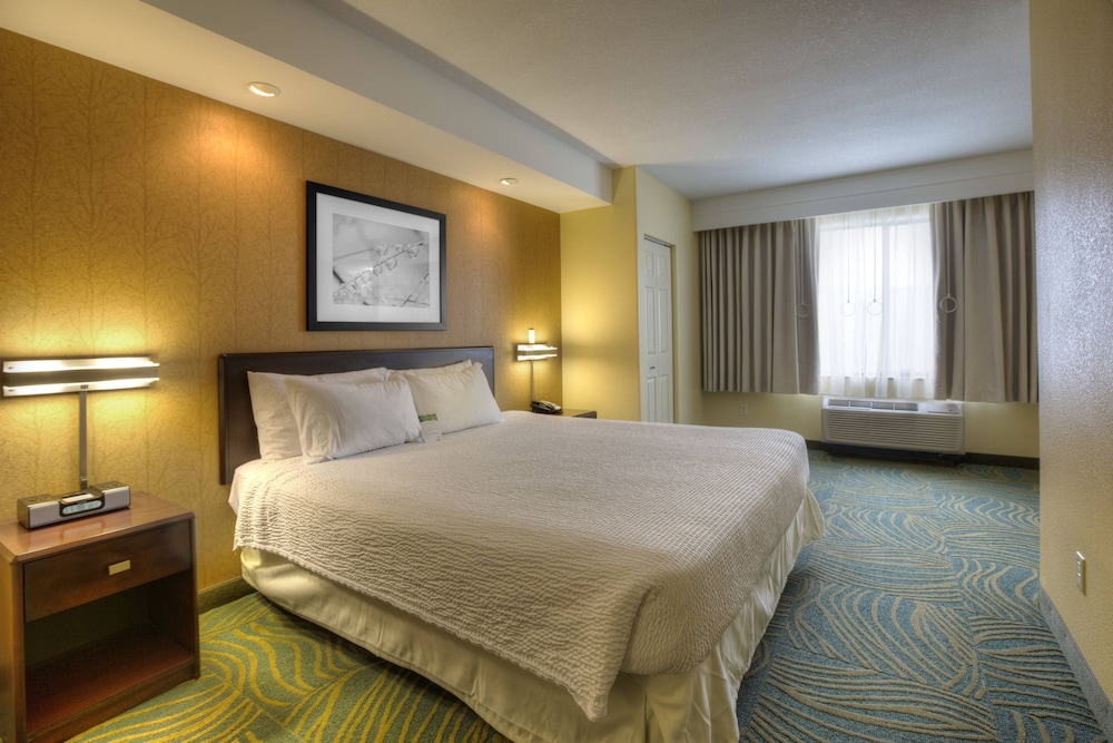 Springhill Suites by Marriott Tampa Brandon