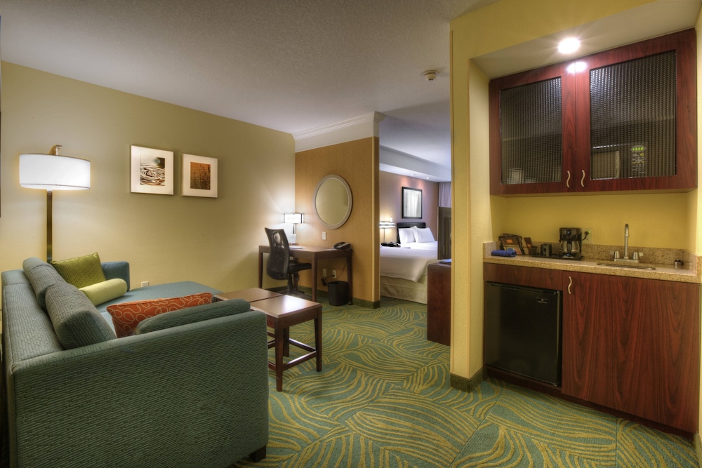 Springhill Suites by Marriott Tampa Brandon