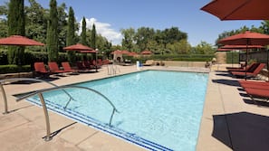 Outdoor pool, sun loungers