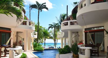 Playa Palms Beach Hotel