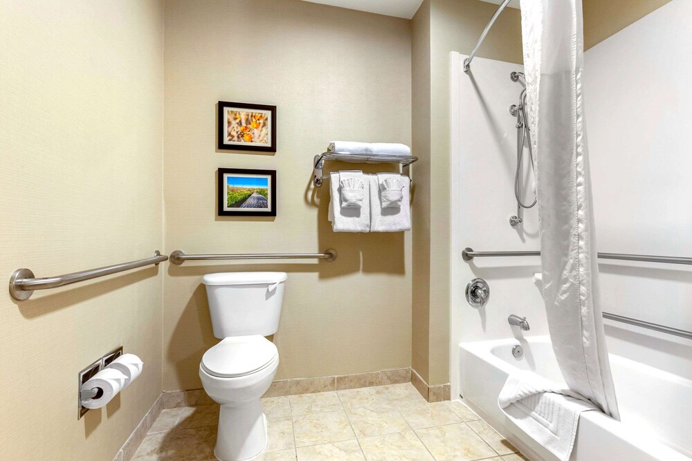 Comfort Suites Glendale State Farm Stadium Area Glendale Usa