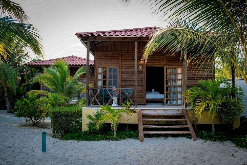 Get Mobles de mar sc petit riu For iPhone Free Mobles De Mar Sc Petit Riu