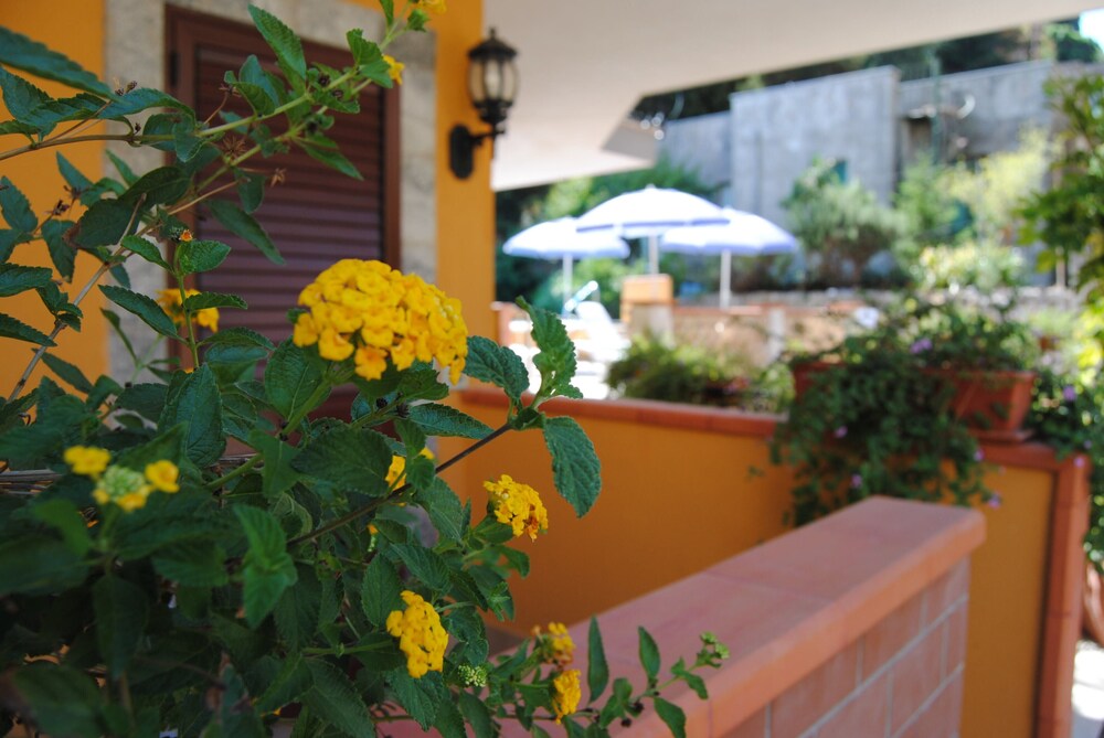 Photo - Residence Villa Il Glicine