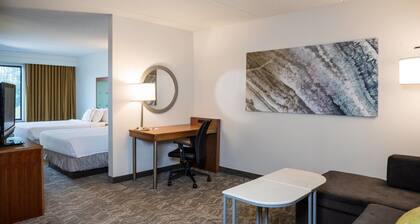 Springhill Suites by Marriott Hampton Coliseum