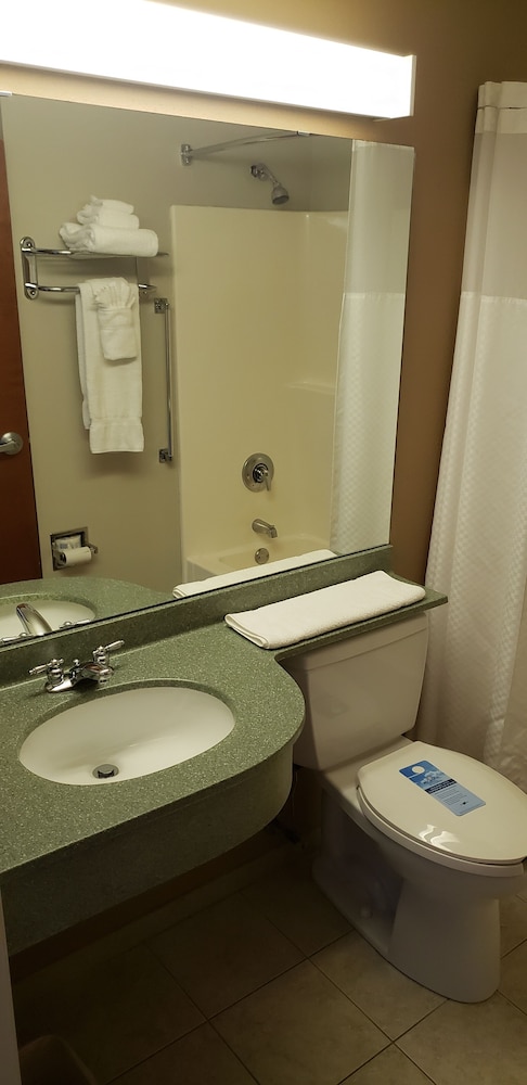 Bathroom, Microtel Inn & Suites by Wyndham York