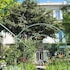 Au Saint Roch - Hotel et Jardin