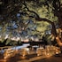 Lion Sands Tinga Lodge