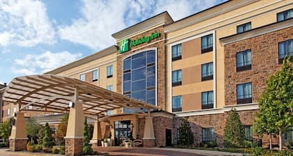 Holiday Inn Arlington NE-Rangers Ballpark, an IHG Hotel