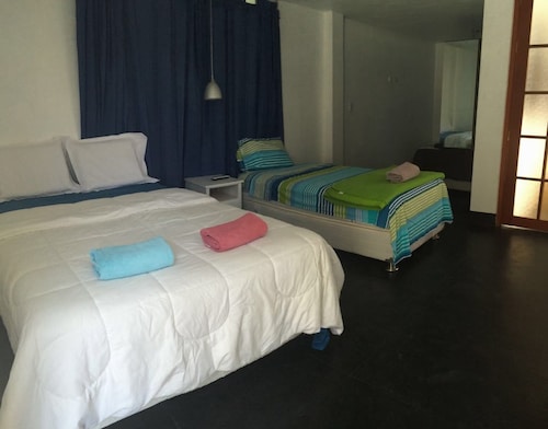 イカのペットと泊まれるホテル イカ エクスペディア