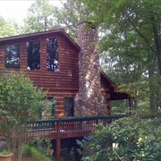 Top 10 Pet Friendly Hotels In Blue Ridge Ga 55 Dog Cat