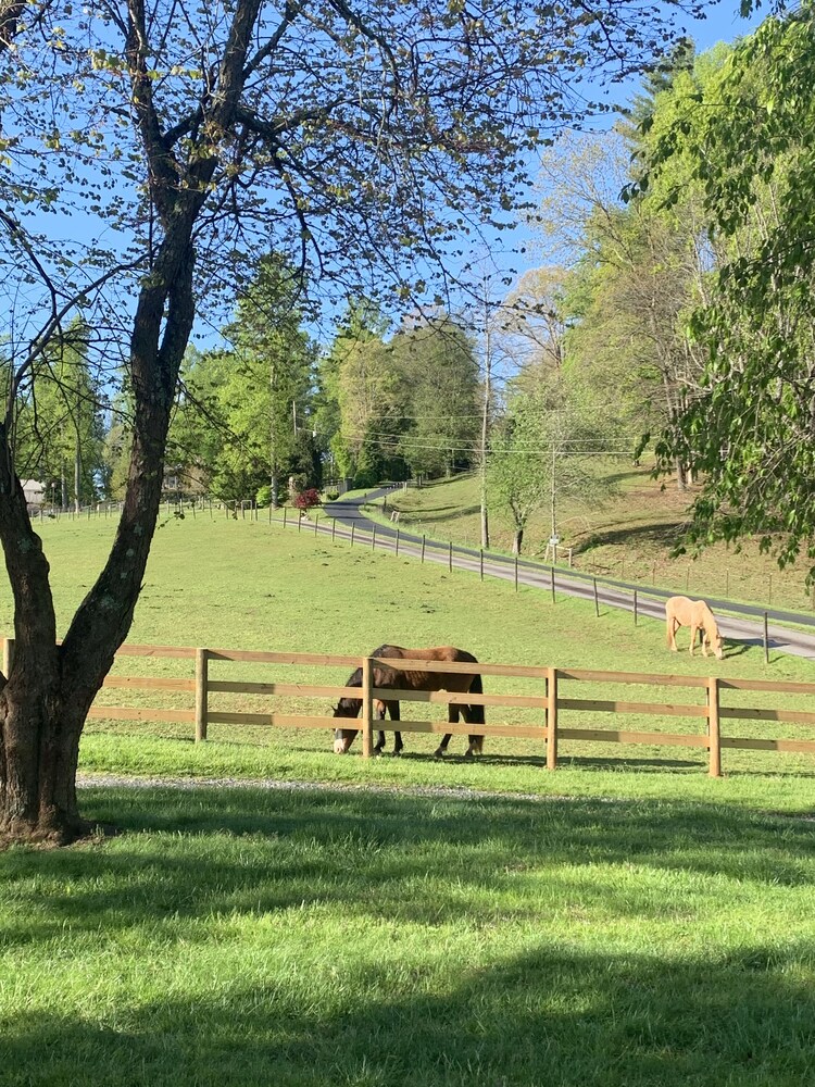 17 Acre Private Horse Farm~Fireplace~Hot Tub~Quiet~Secluded