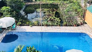 Outdoor pool, sun loungers