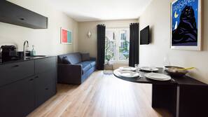 101-cm plasma TV with satellite channels, TV