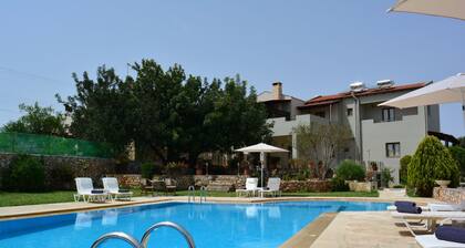 Elianthos Villa
