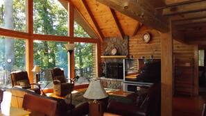TV, fireplace, video-game console, DVD player