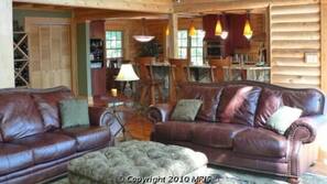 TV, fireplace, video-game console, DVD player