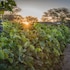 Neuras Wine & Wildlife Estate