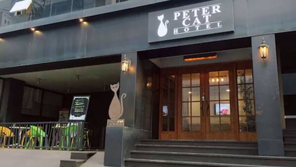 ピーターキャット ホテル シンチョン ホンデ (彼得貓酒店新村弘大店)ピーターキャット ホテル シンチョン ホンデ (彼得貓酒店新村弘大店)