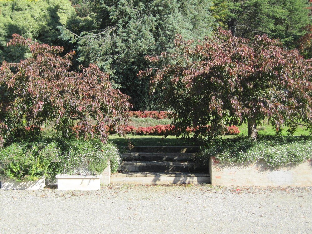 Dandenong Ranges Cottages