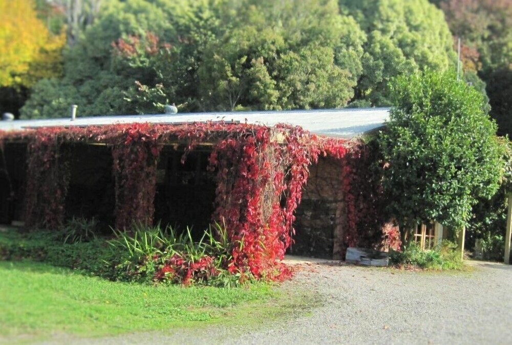 Dandenong Ranges Cottages