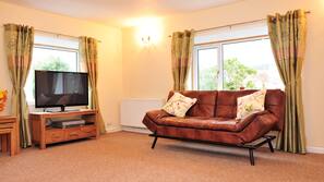 TV, fireplace, DVD player, books