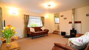 TV, fireplace, DVD player, books
