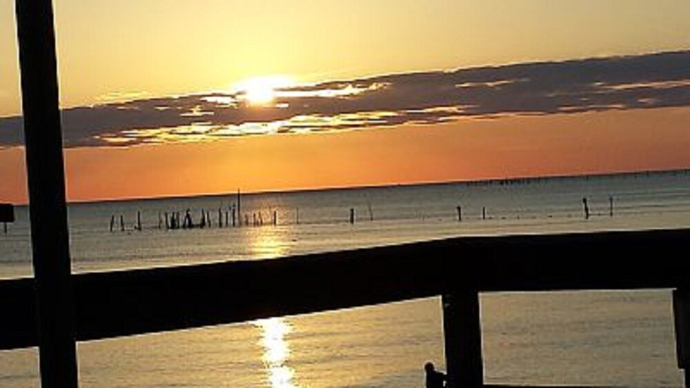 Kiptopeke Drive Cozy Cottage Right Up The Road From Kiptopeke State