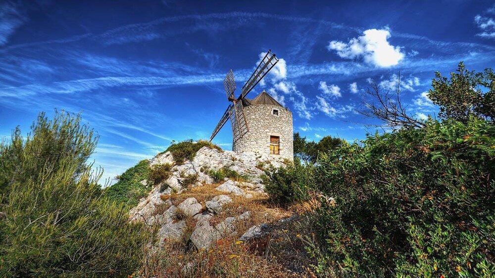 Moulin Brush