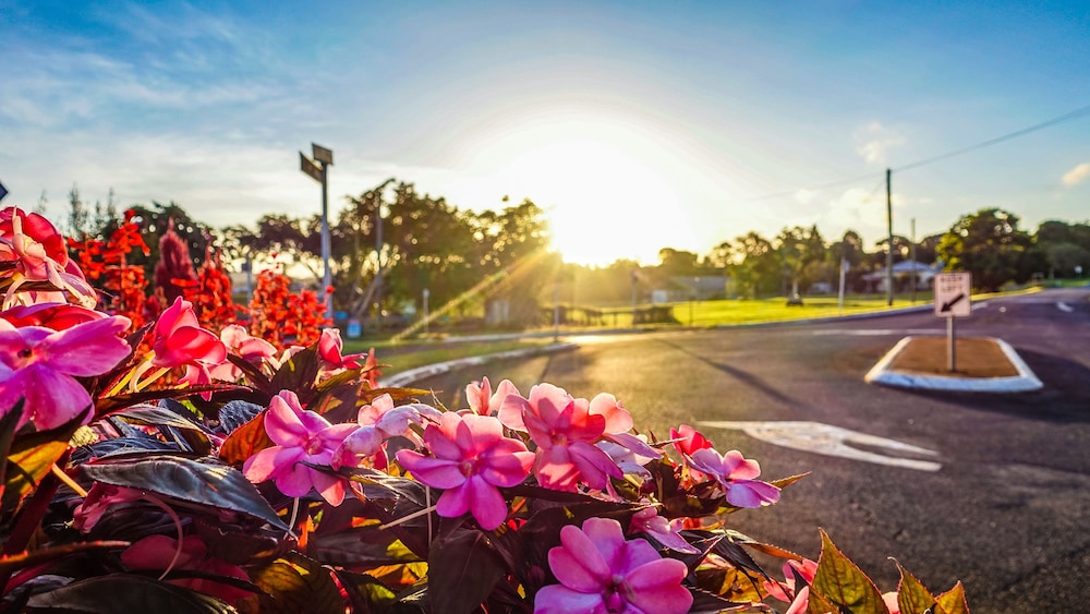 Birds N Bloom Cottages In Yungaburra Cheap Hotel Deals Rates