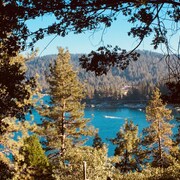 Top 10 Pet Friendly Hotels In Lake Arrowhead Ca 63 Dog Cat