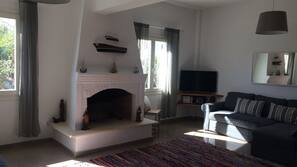 TV, fireplace, DVD player, books