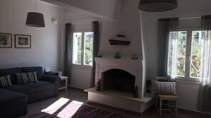 TV, fireplace, DVD player, books
