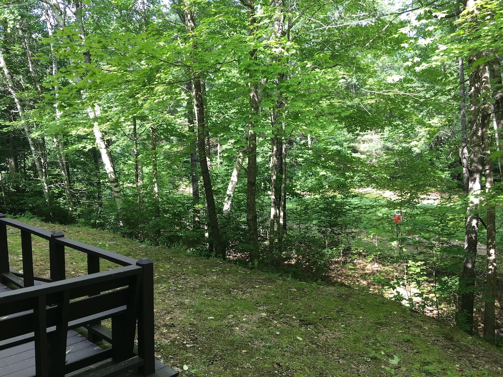 Walk to Story Land!! Updated Condo! Great Location! WiFi/TV/AC and Pool!!