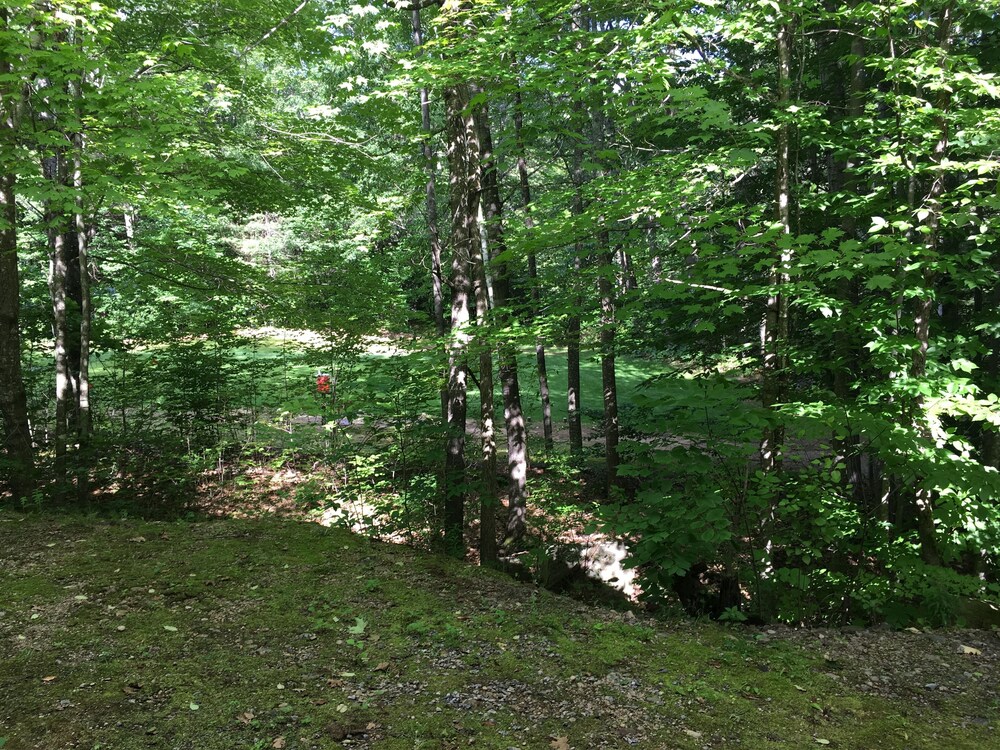 Walk to Story Land!! Updated Condo! Great Location! WiFi/TV/AC and Pool!!